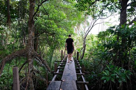phil demack|Phil Demack on LinkedIn: Binga Beach.